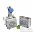 Flip Top Cap Mould